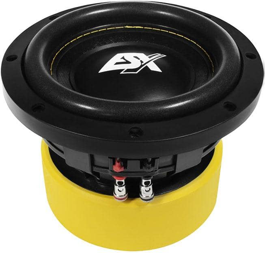 ESX Audio Quantum QE622 6.5" subwoofer