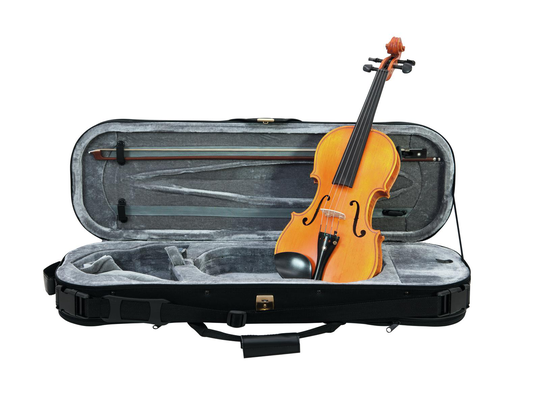 DiMavery Viulu Semi-pro 4/4